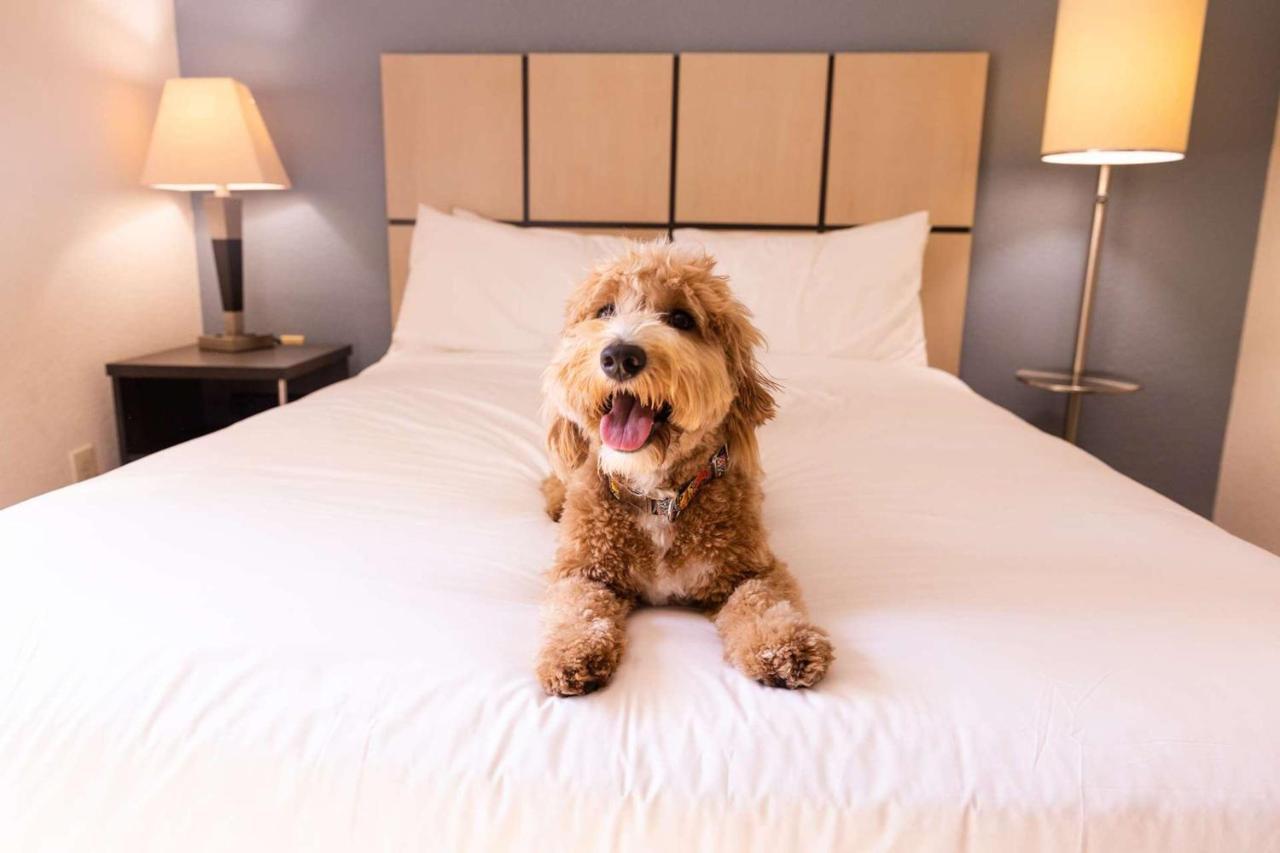 Sonesta Simply Suites Oklahoma City Airport エクステリア 写真